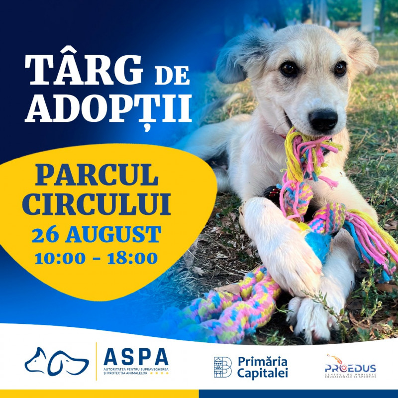 Un nou târg de adopţii pentru câini va avea sâmbătă, 26 august, în Parcul Circului, lângă Circul Metropolitan București