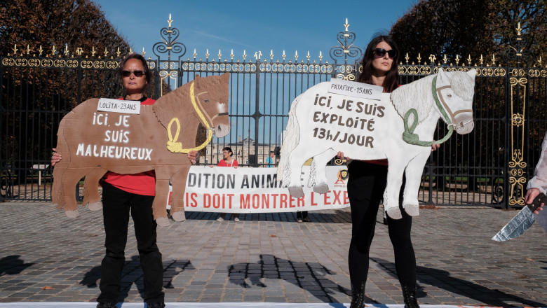 doua femei tin pancarte în formă de ponei în mâini și protestează în fața unui parc din Paris