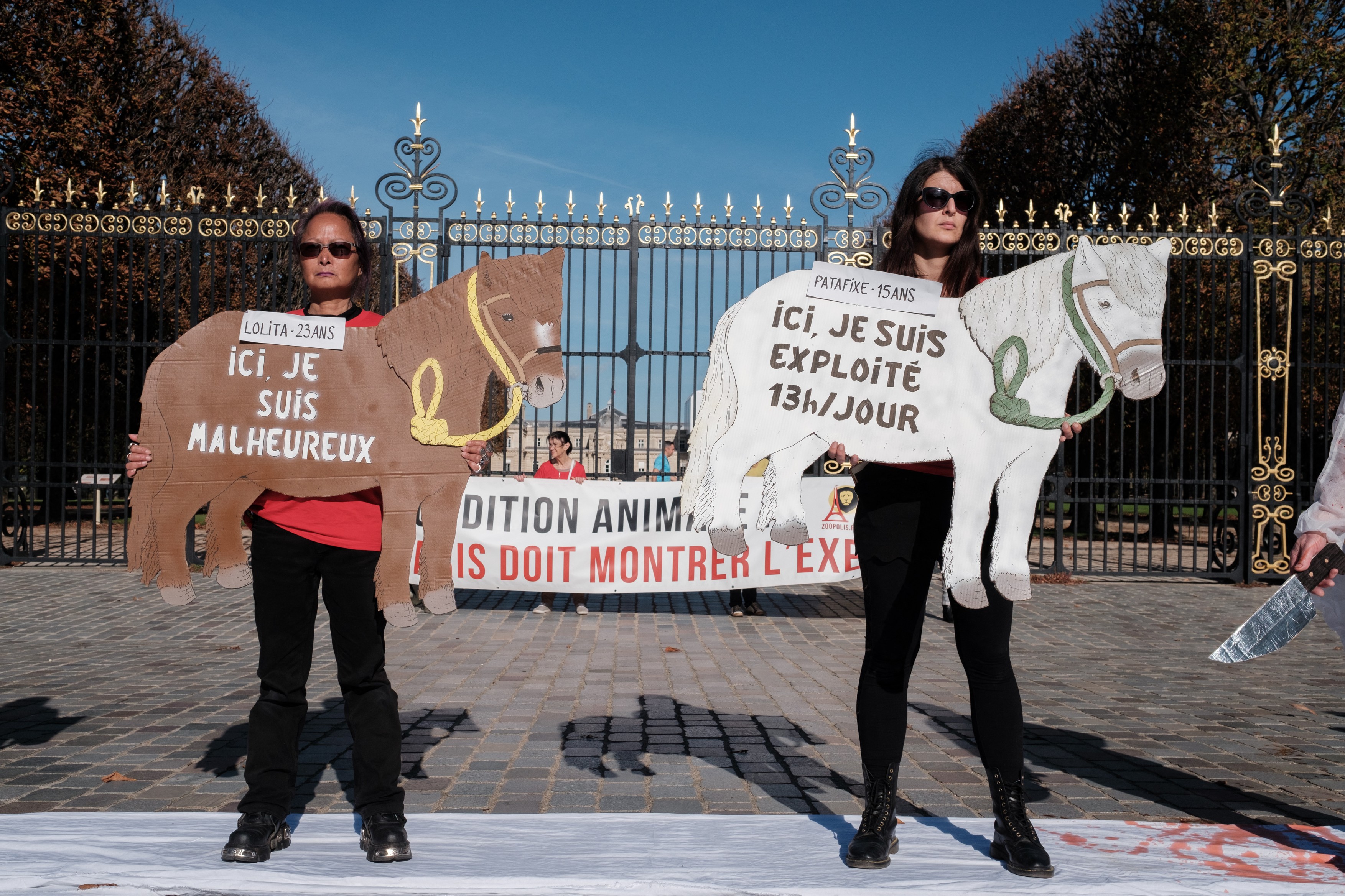 Plimbările cu ponei vor fi interzise în parcurile din Paris: „Poneii nu sunt jucării”