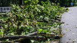 Erfurt, Germany. 16th Aug, 2023. Fallen trees and broken branches are seen in North Park after a storm. Credit: Jens Kalaene/dpa/Alamy Live News
