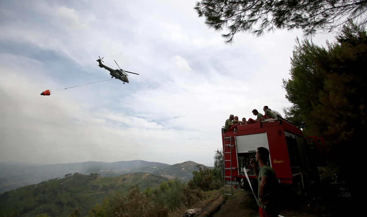 VIDEO. Incendiile de vegetație fac prăpăd în Albania. Patru fermieri au fost arestați