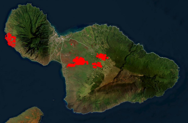 Hawaii Wildfires: Paradise Burning