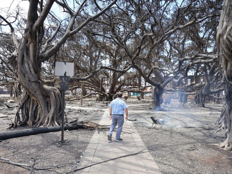 Hawaii Wildfires: Paradise Burning