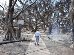 Hawaii Wildfires: Paradise Burning