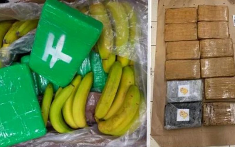 Droguri ascunse printre banane. Poliţia din Cehia a confiscat sute de kilograme de cocaină
