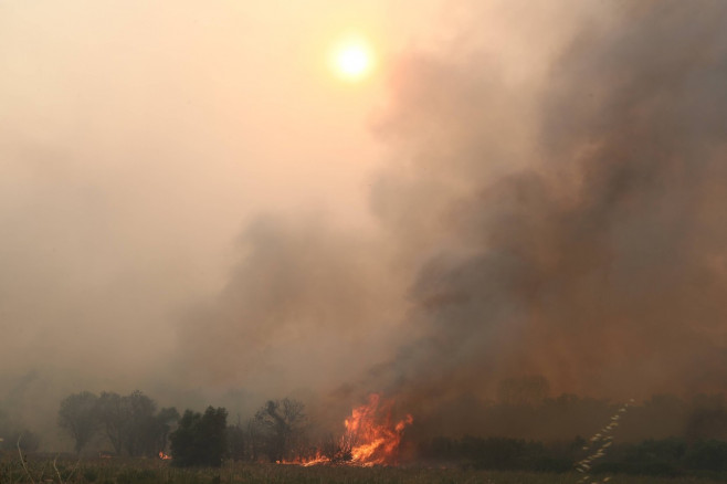 Griechenland - Region Evros, Zerstörung durch das Feuer in Alexandroupolis. Momentaufnahme am Dienstag, 22. August 2023.