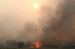 Griechenland - Region Evros, Zerstörung durch das Feuer in Alexandroupolis. Momentaufnahme am Dienstag, 22. August 2023.