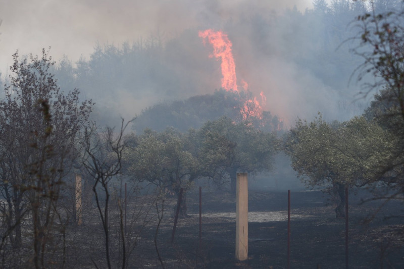 Griechenland - Region Evros, Zerstörung durch das Feuer in Alexandroupolis. Momentaufnahme am Dienstag, 22. August 2023.