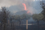 Griechenland - Region Evros, Zerstörung durch das Feuer in Alexandroupolis. Momentaufnahme am Dienstag, 22. August 2023.