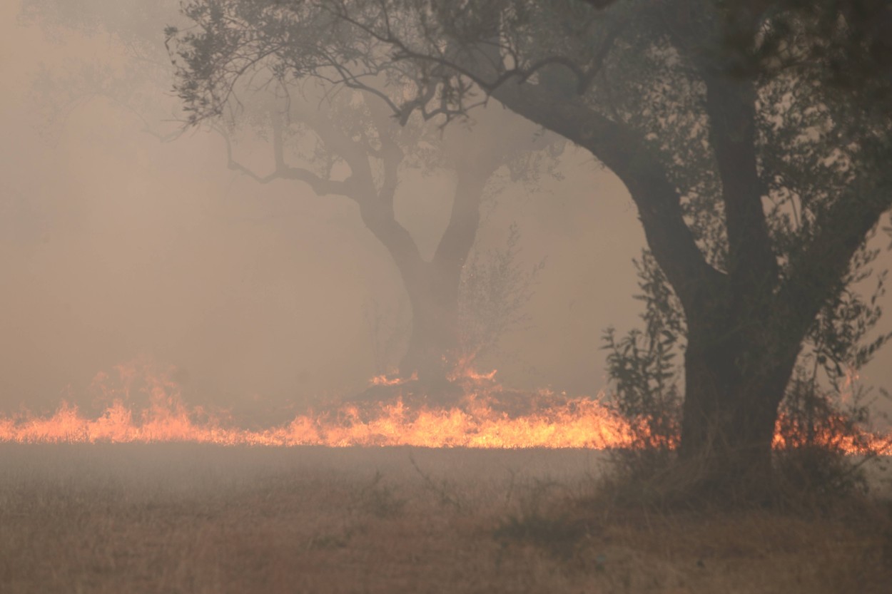 „Megaincendiul” din nord-estul Greciei, care a ucis 20 de oameni, arde necontrolat de 10 zile: „Nu a fost posibil să salvăm nimic”