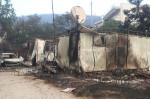 Griechenland - Region Evros, Zerstörung durch das Feuer in Alexandroupolis. Momentaufnahme am Dienstag, 22. August 2023.