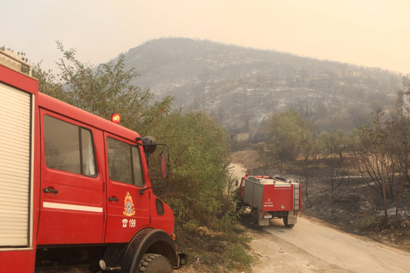 Griechenland - Region Evros, Zerstörung durch das Feuer in Alexandroupolis. Momentaufnahme am Dienstag, 22. August 2023.