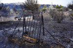 Wildfire On Mount Parnitha In Athens