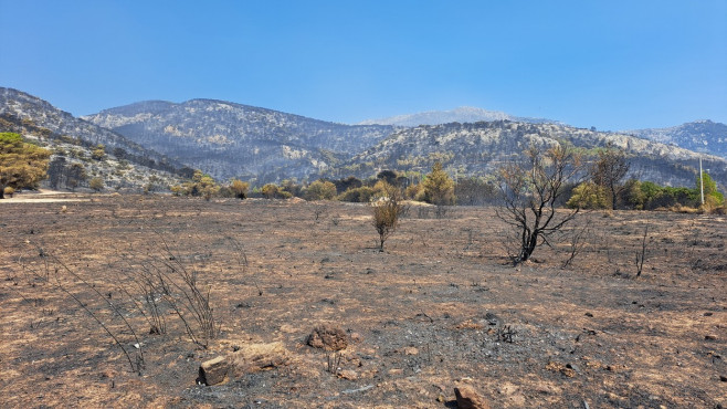 Wildfires continue to ravage Greece on sixth day