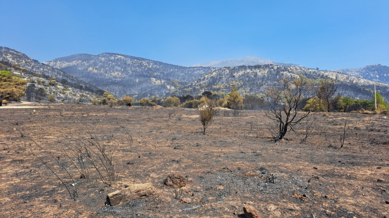 Wildfires continue to ravage Greece on sixth day