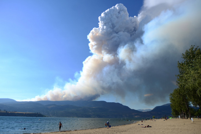 Incendiile de vegetație fac ravagii în Canada