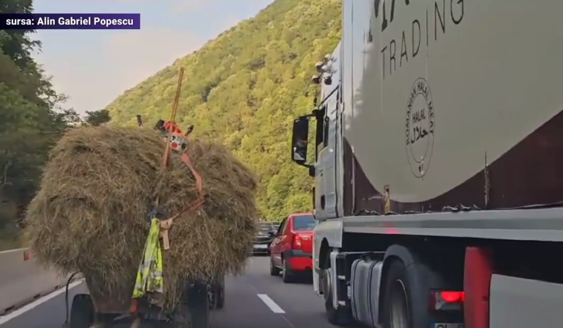 VIDEO. Căruță plină cu fân, remorcată de o mașină pe Valea Oltului