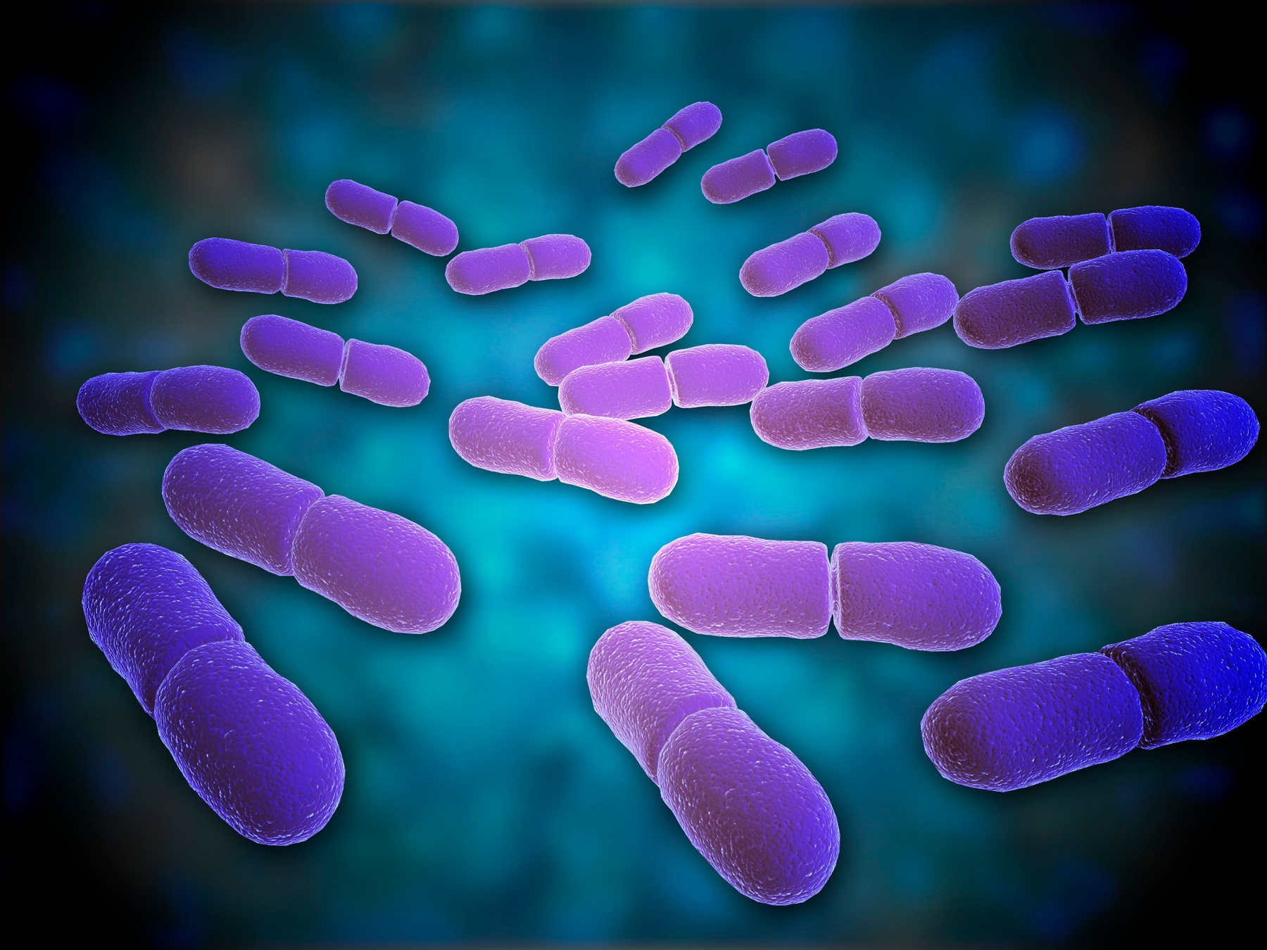 Trei oameni au murit și alți trei au ajuns la spital după ce au băut milkshake-uri contaminate cu listeria, în SUA