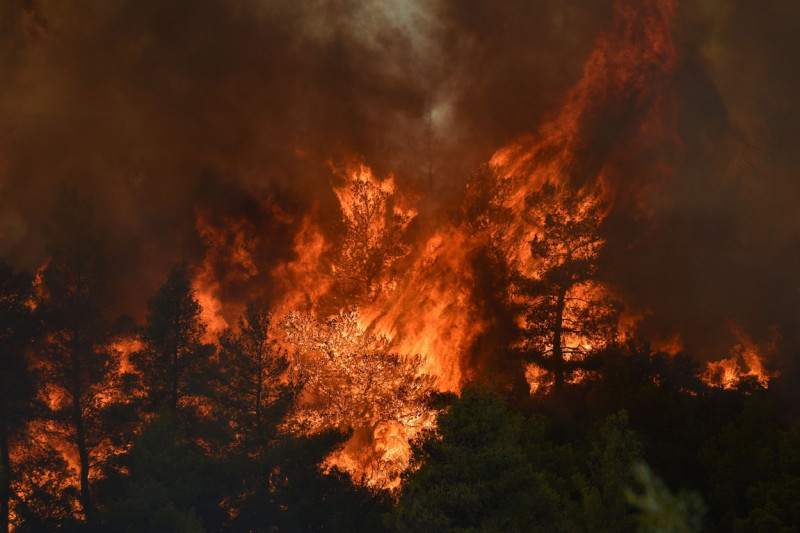 Wildfire Rages Near Prodromos Village In Boeotia, Prodromos, Boeotia, Greece - 21 Aug 2023