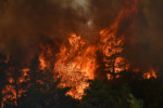 Wildfire Rages Near Prodromos Village In Boeotia, Prodromos, Boeotia, Greece - 21 Aug 2023