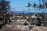 News: Maui Hawaii Fire Aftermath