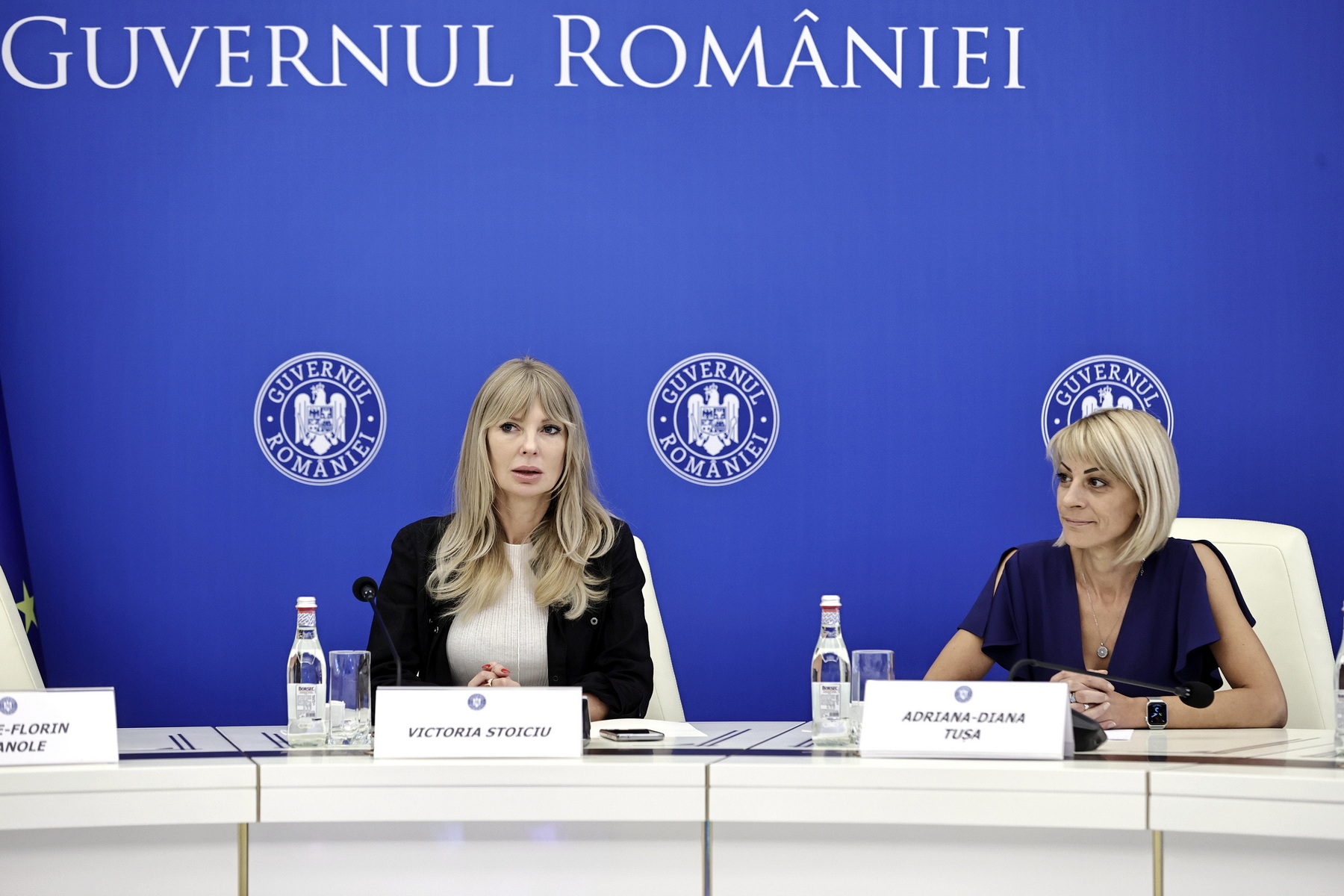 Discuții la Guvern despre drepturile femeilor în România. Cum vrea Executivul să rezolve provocările cu care se confruntă româncele