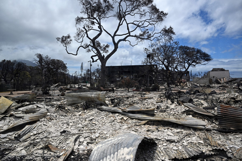 Incendiile de vegetaţie au devastat insula Maui (3)