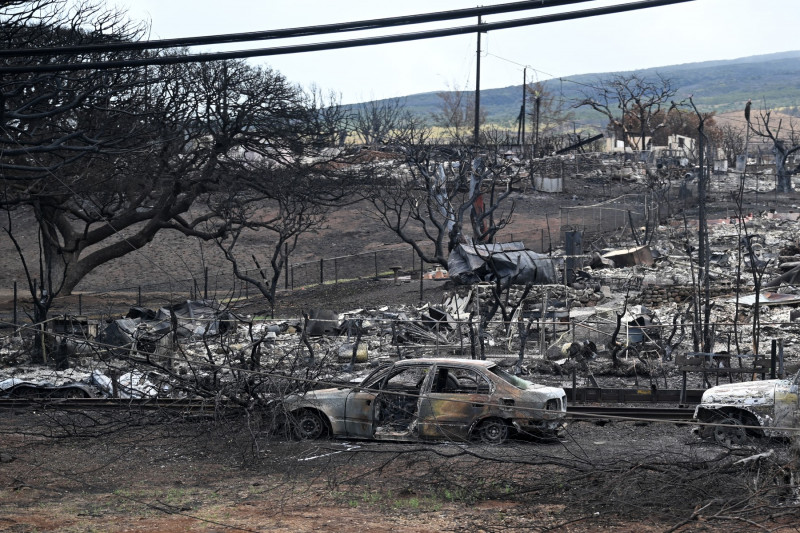 Incendiile de vegetaţie au devastat insula Maui (5)