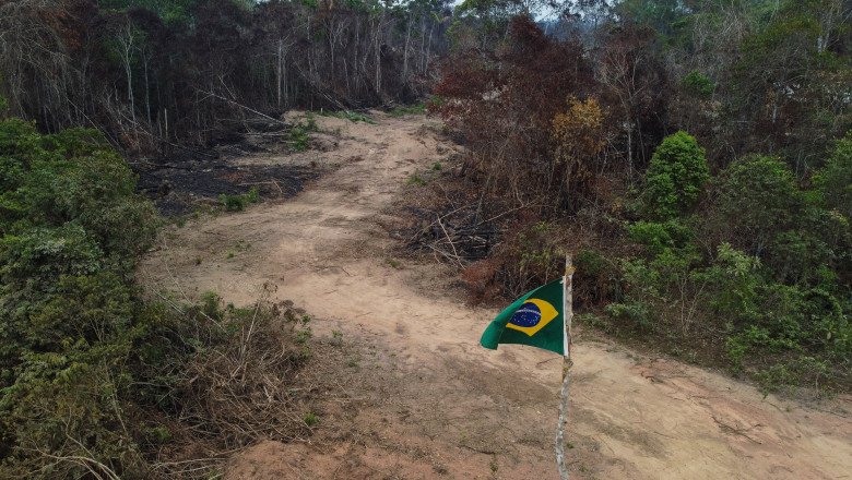 pădure defrișată și steagul braziliei