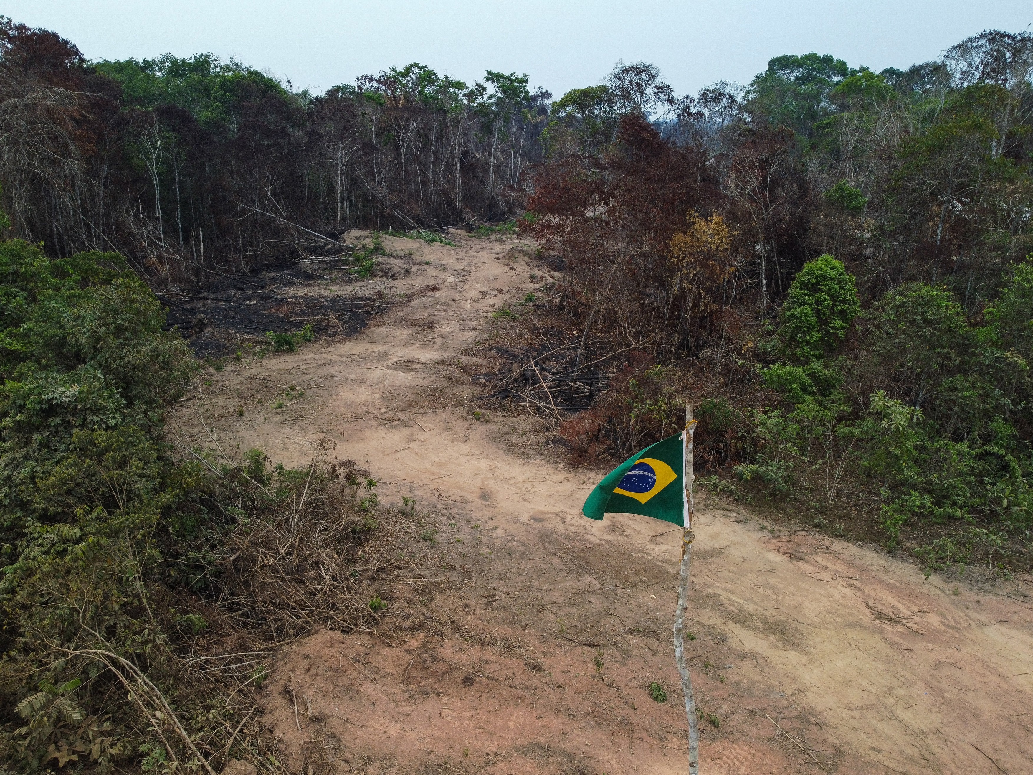 Dezastru în Pădurea Amazoniană: Emisiile de carbon s-au dublat sub conducerea lui Bolsonaro
