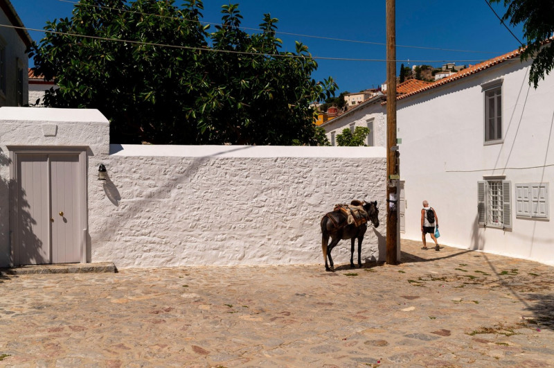 Hydra, Greece. 24th July, 2020. A tourist walks past a mule. The island of Hydra, which covers almost 50 square kilometres, is 65 kilometres south-west of Athens. Cars, neon signs and plastic chairs are prohibited on the island. Credit: Angelos Tzortzinis