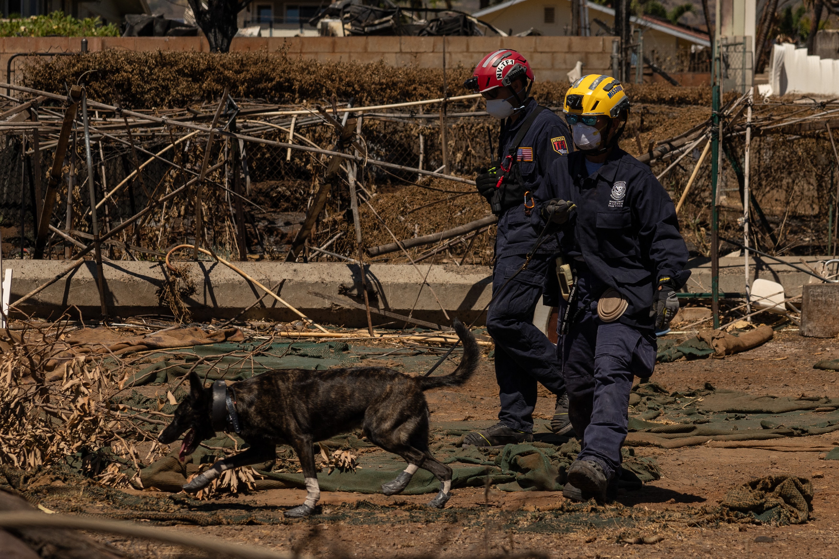 Supraviețuitorii incendiului din Hawaii sunt chemați să dea probe ADN pentru identificarea morților