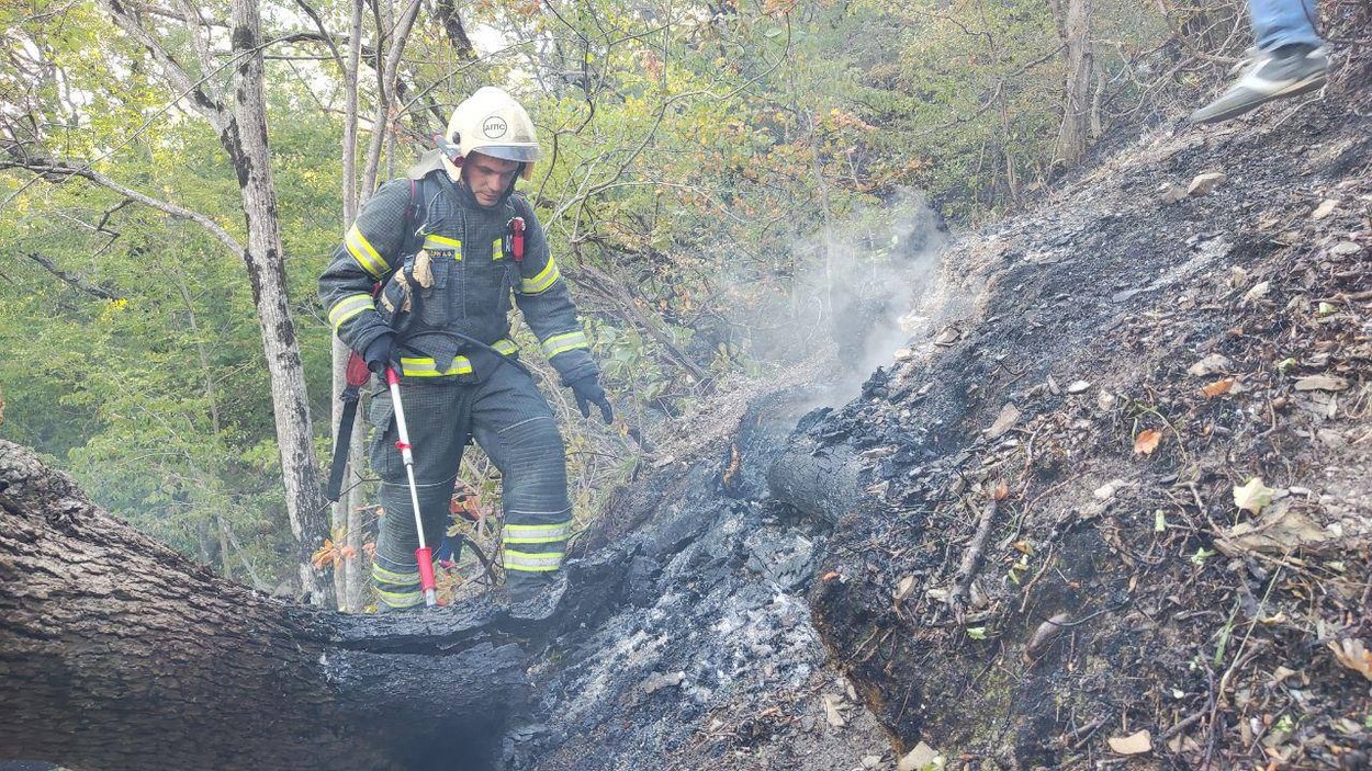 Un incendiu puternic a cuprins o populară stațiune din Rusia, de la Marea Neagră. Sute de pompieri se luptă cu flăcările
