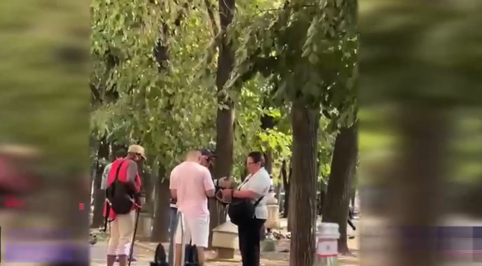 VIDEO Doi bărbaţi din Bucureşti se dădeau drept poliţişti şi îi lăsau pe turişti fără bani