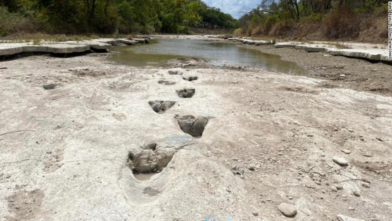 Drought Uncovers Remarkable Dinosaur Tracks In Texas State Park