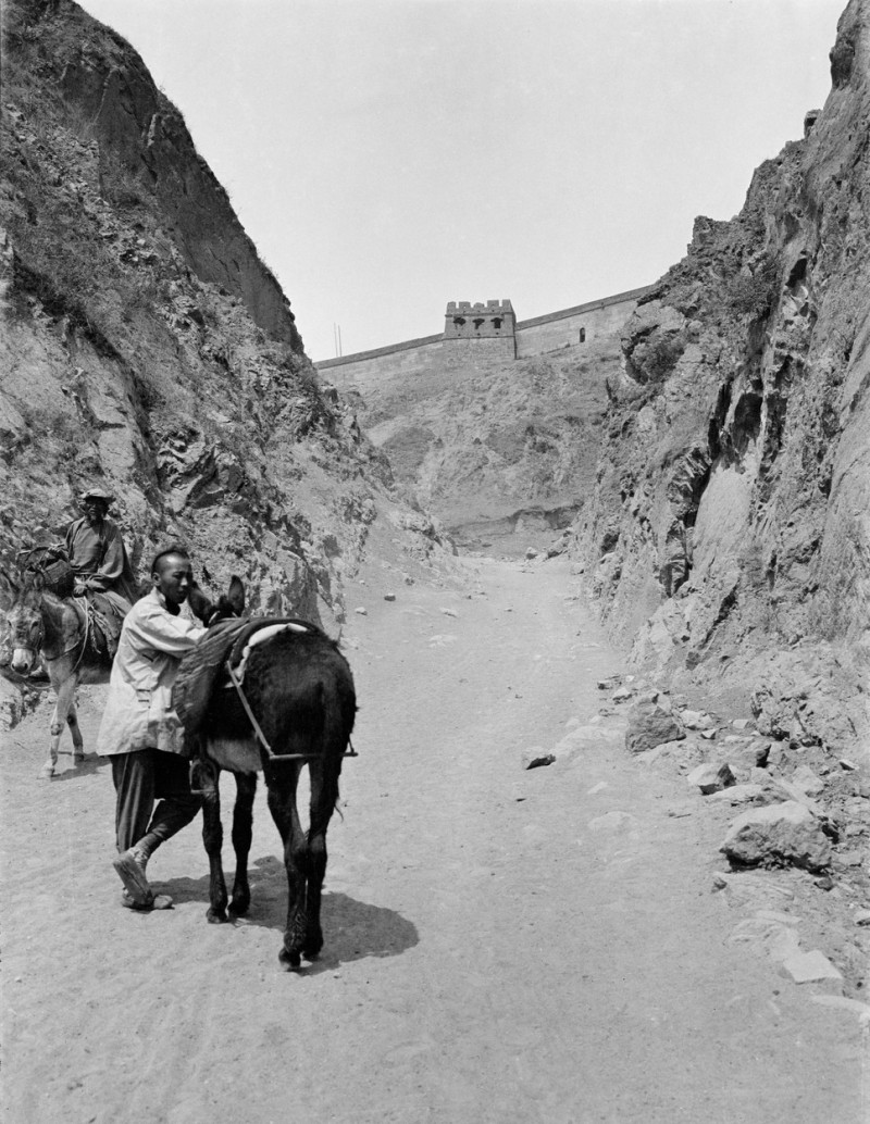 View of the Great Wall of China with Man and his Mule in the Foreground / Photo, 1906