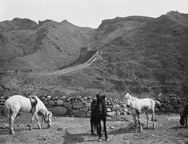 View of the Great Wall of China with Horses in the Foreground / Photo, 1906