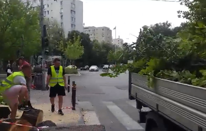 Bărbat rănit în București. Un copac a căzut peste el din cauza vântului puternic