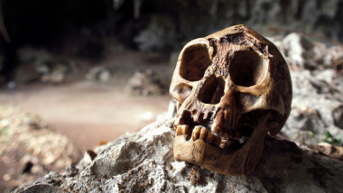Craniu de Homo floresiensis, hobbiți descoperiți într-o peșteră din Indonezia