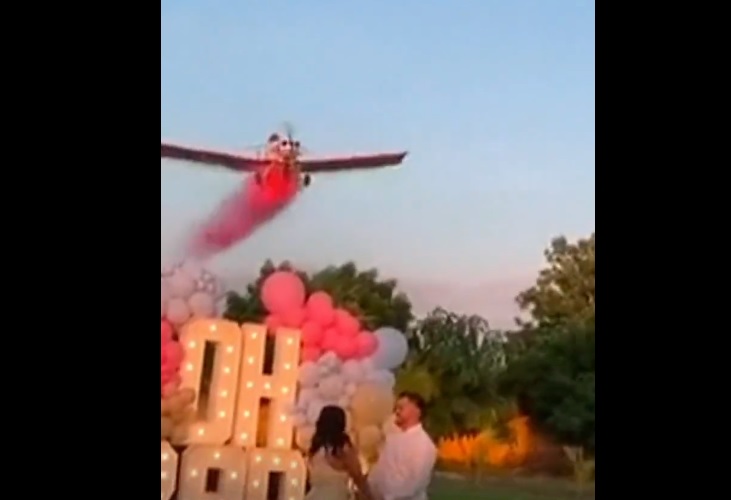VIDEO. Un avion care împrăștia fum roz la o petrecere s-a prăbușit. Pilotul a murit