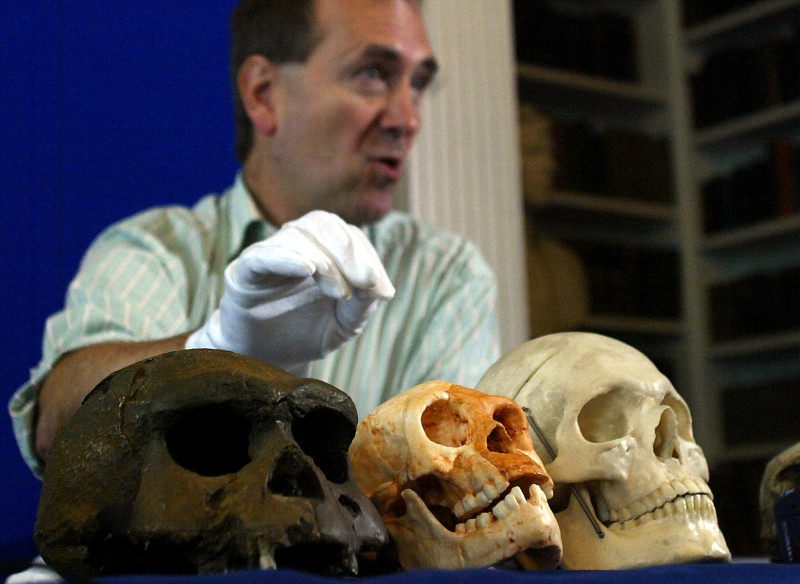 craniu-homo-floresiensis-2