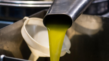 Fresh extra virgin olive oil pouring into tank at a cold-press factory after the olive season harvesting