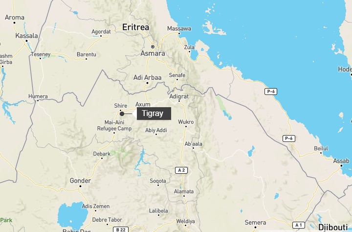 Forțele de Apărare Eritreene au comis crime de război și posibile crime împotriva umanității în Tigray, susține Amnesty International