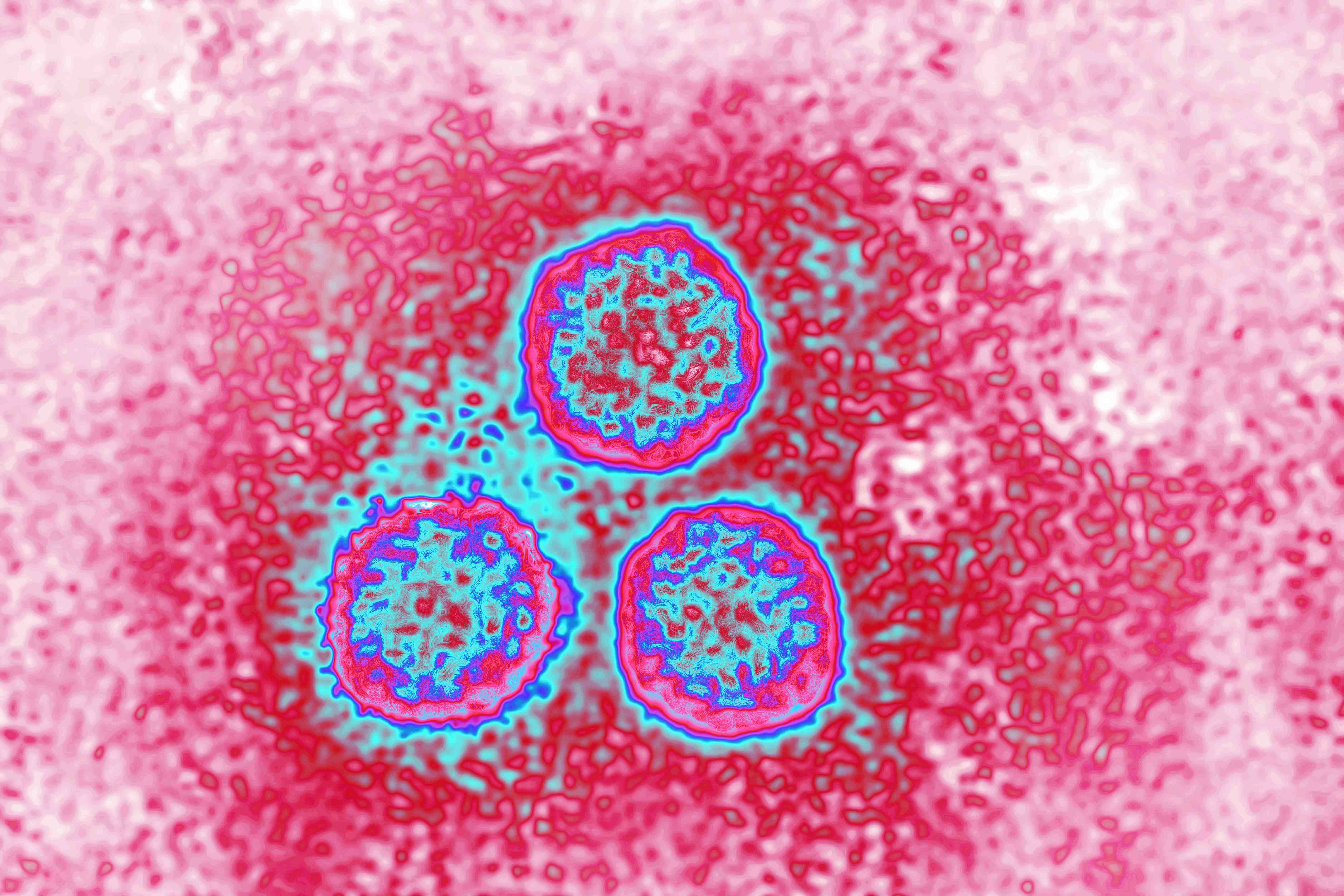 1 din 3 bărbaţi din întreaga lume este infectat cu virusul HPV. Rezultatele îngrijorătoare ale unui nou studiu