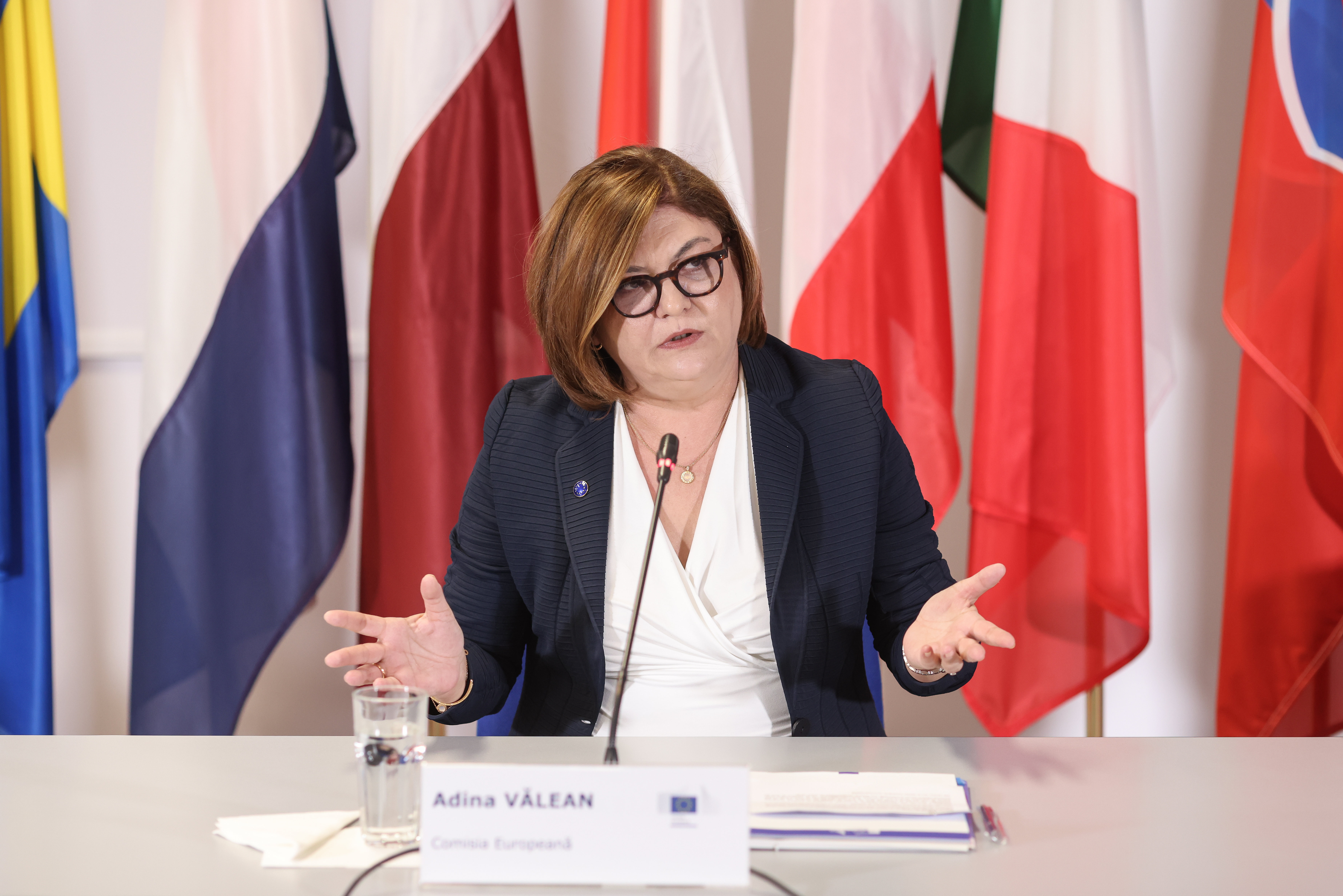 Adina Vălean: Comisia Europeană nu acordă despăgubiri. Sorin Grindeanu: Nu am cerut despăgubiri