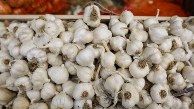 Shallow depth of field (selective focus) details with dried garlic in an european farmers market.
