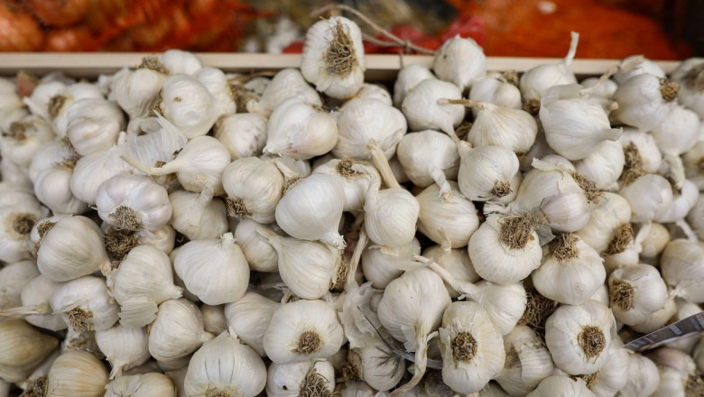 Shallow depth of field (selective focus) details with dried garlic in an european farmers market.