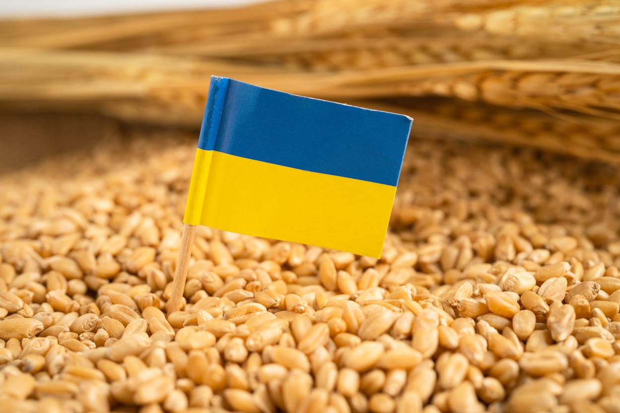 Boloş, despre cerealele ucrainene: Trebuie să înăsprim măsurile privind tranzitarea țării. Introducem sigiliul electronic al mărfurilor