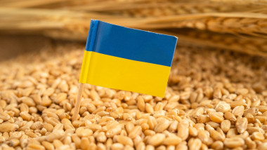 cereale din ucraina