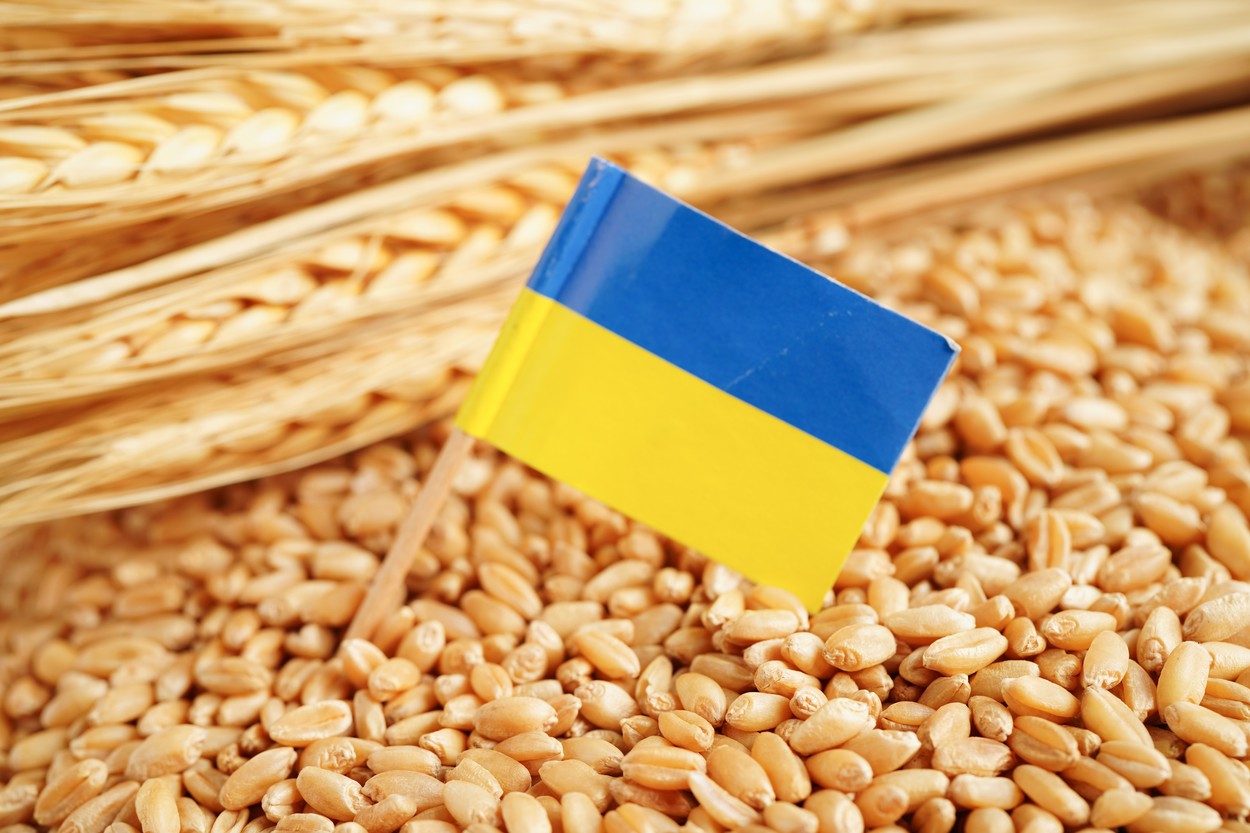 Spania susţine că interzicerea cerealelor ucrainene de unele state UE este ilegală: „Pentru solidaritate trebuie să existe unitate”